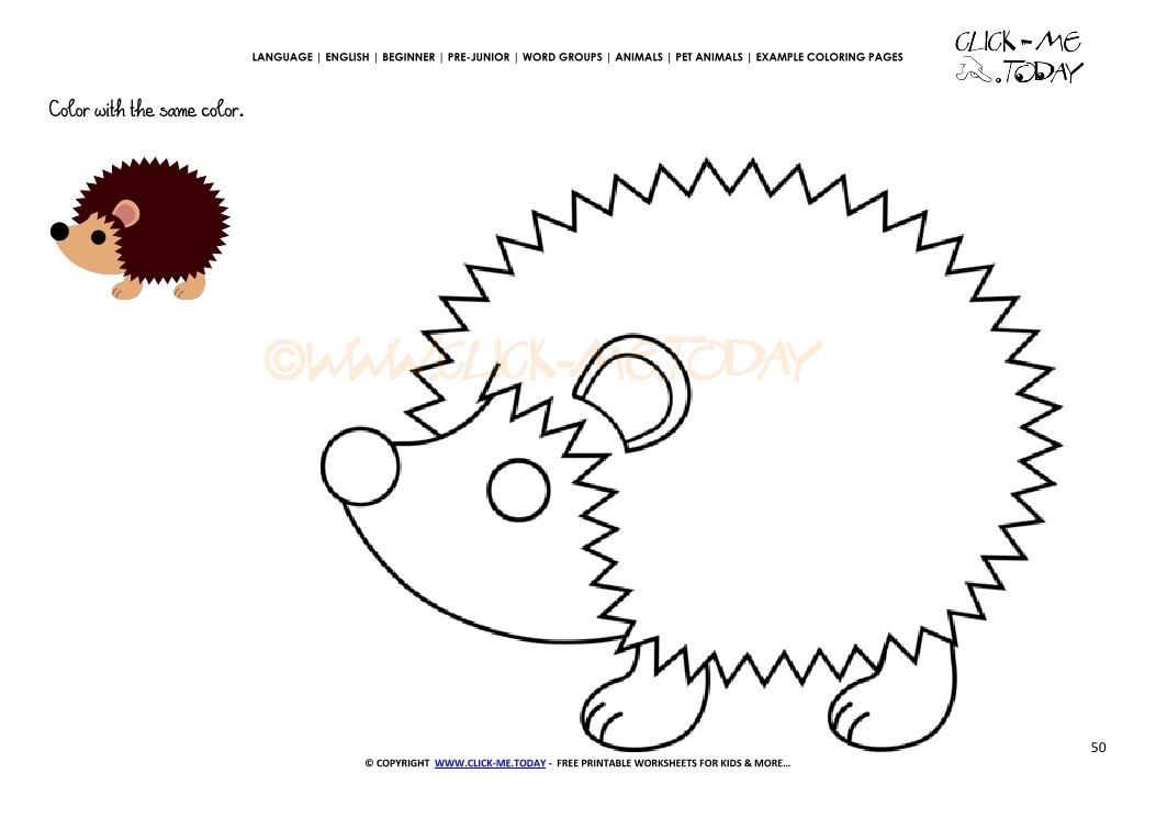 Example coloring page Hedgehog - Color Hedgehog picture