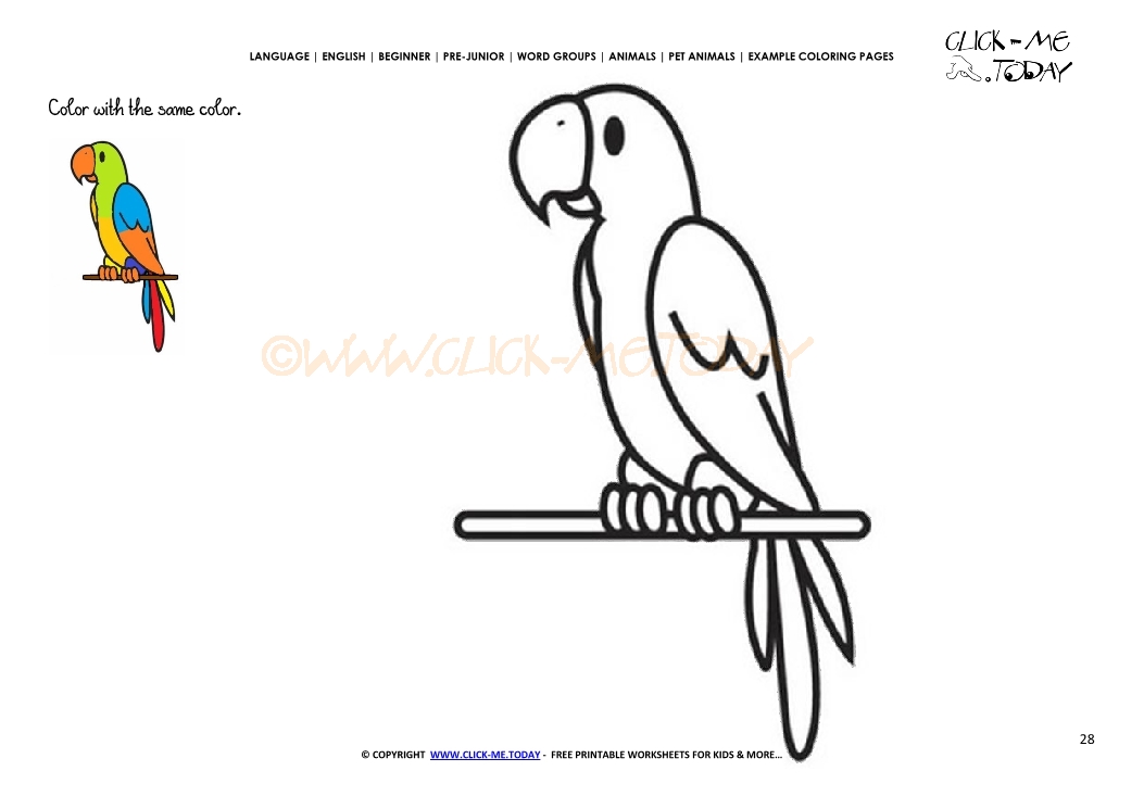 Example coloring page Parrot - Color Parrot picture