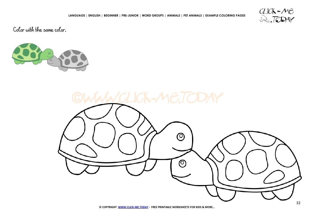 Example coloring page Tortoises - Color Tortoises picture