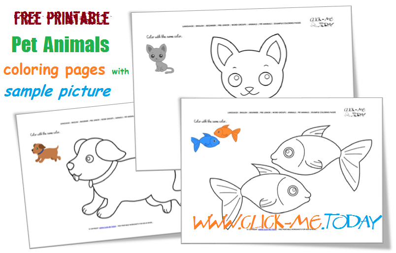 Free printable Pet Animals Example coloring pages - Color Pet Animals