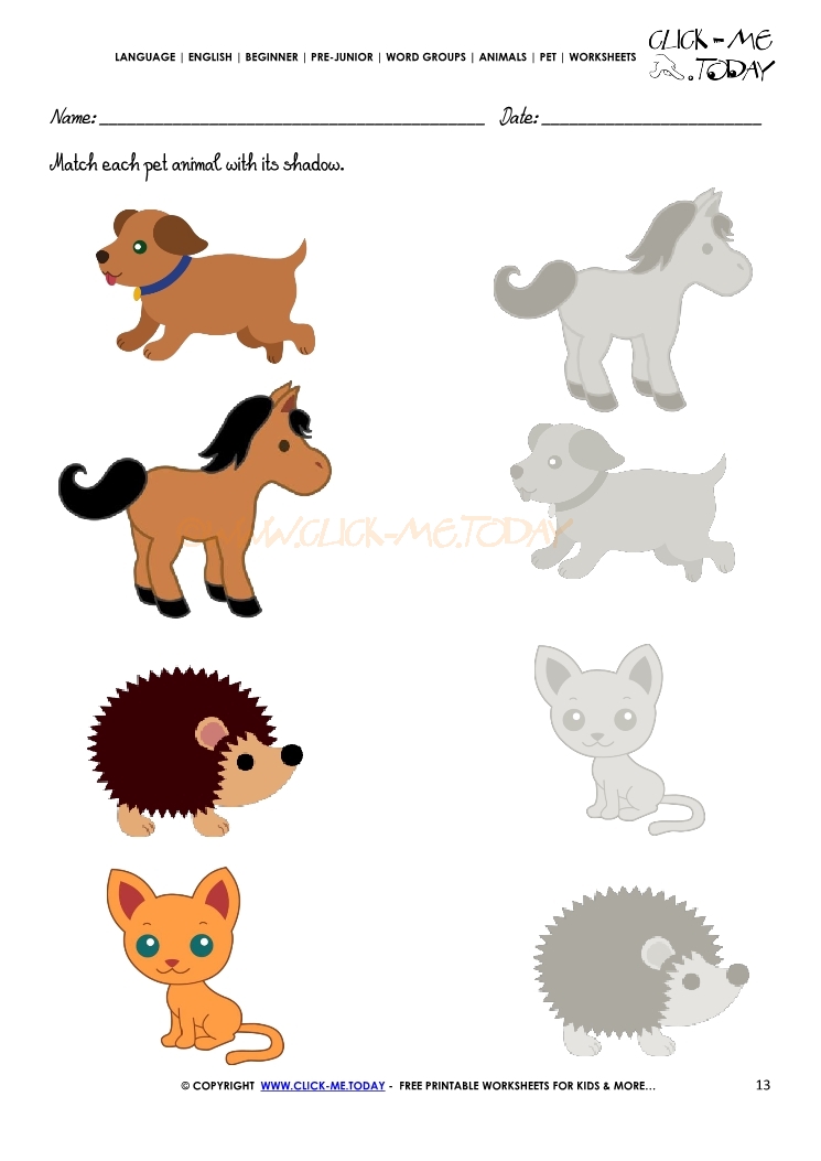 Pet Animals Worksheet - Activity Sheet 13