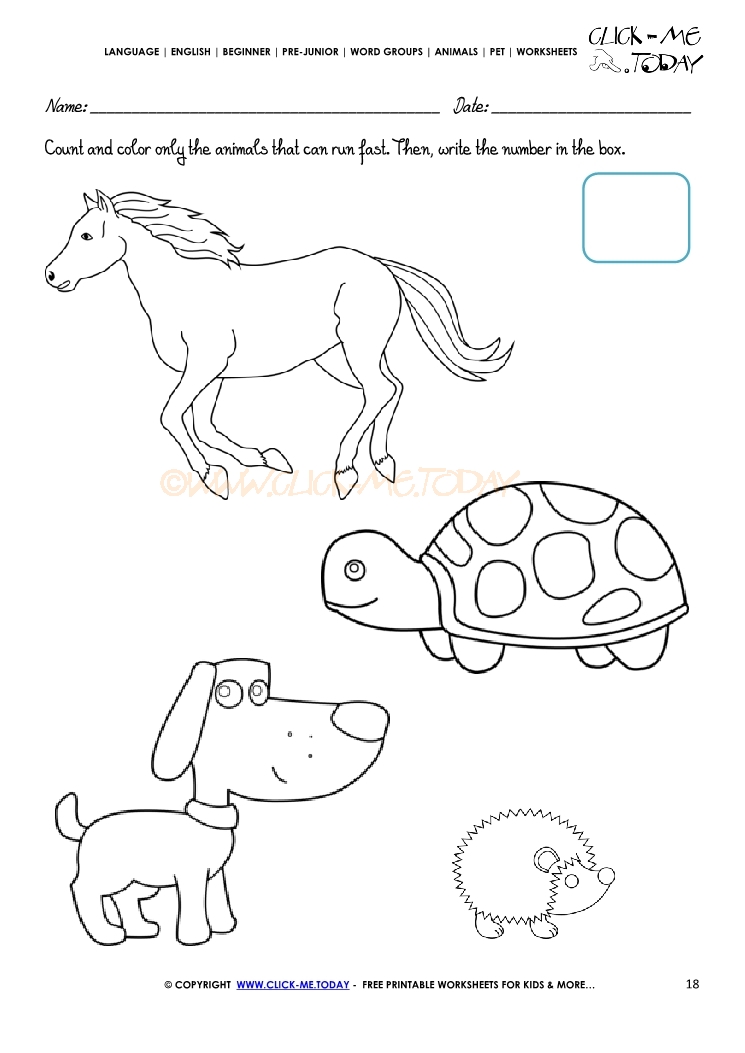 Pet Animals Worksheet - Activity Sheet 18