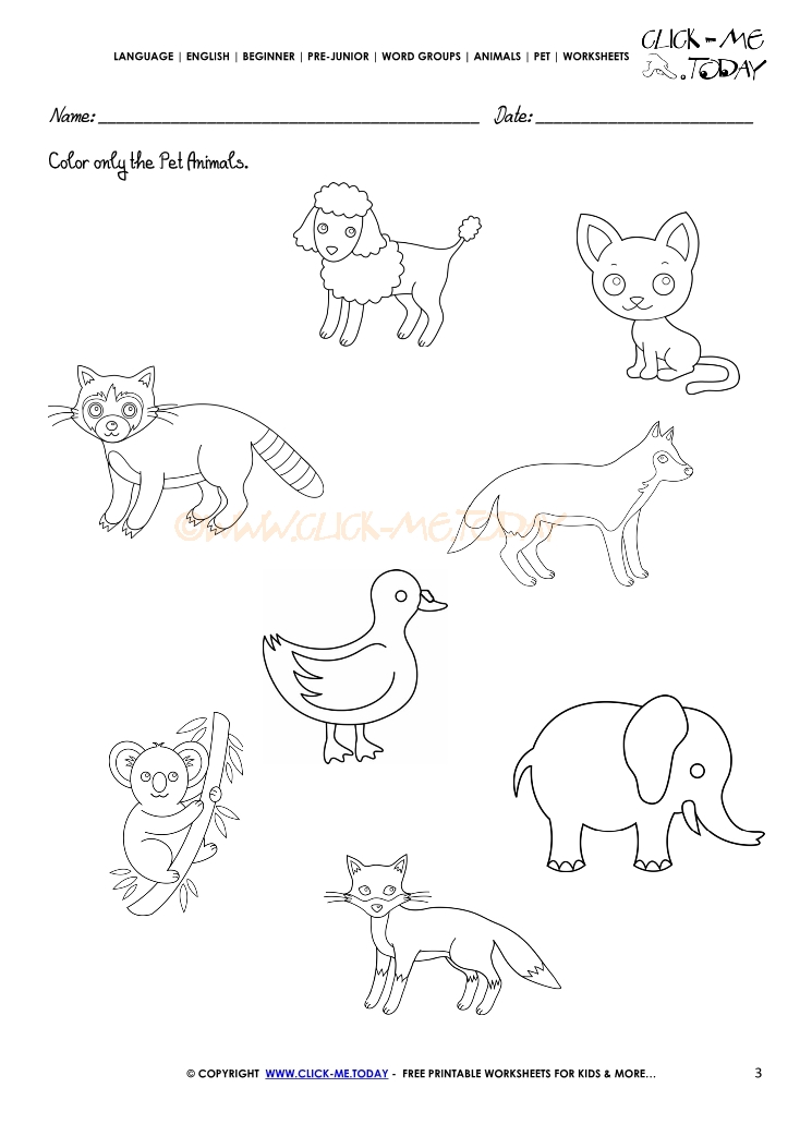 pet-animals-worksheet-activity-sheet-3