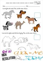 Pet Animals Worksheet - Activity Sheet 19