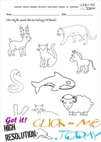 Pet Animals Worksheet - Activity Sheet 6