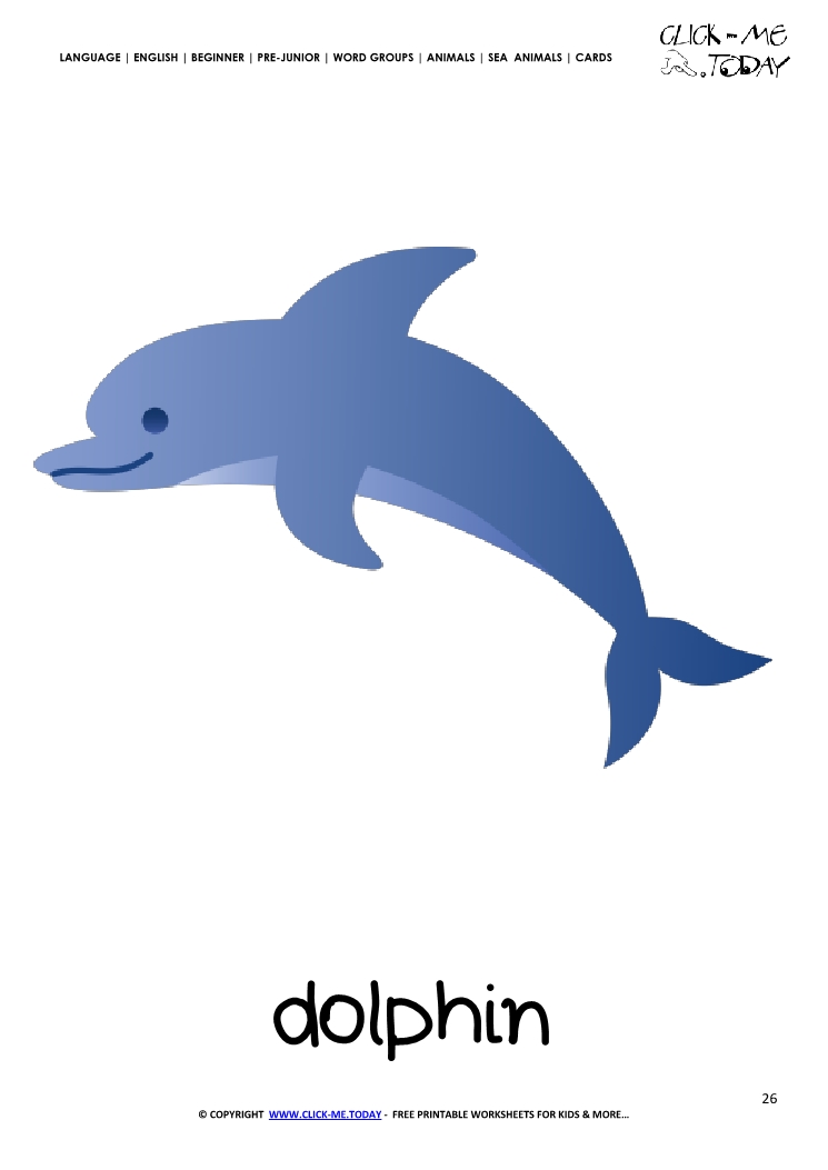 sea-animal-flashcard-dolphin-printable-card-of-dolphin