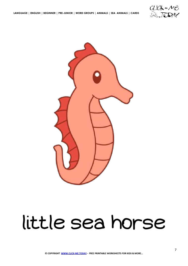Sea animal flashcard Little Sea horse - Printable card of Sea horse