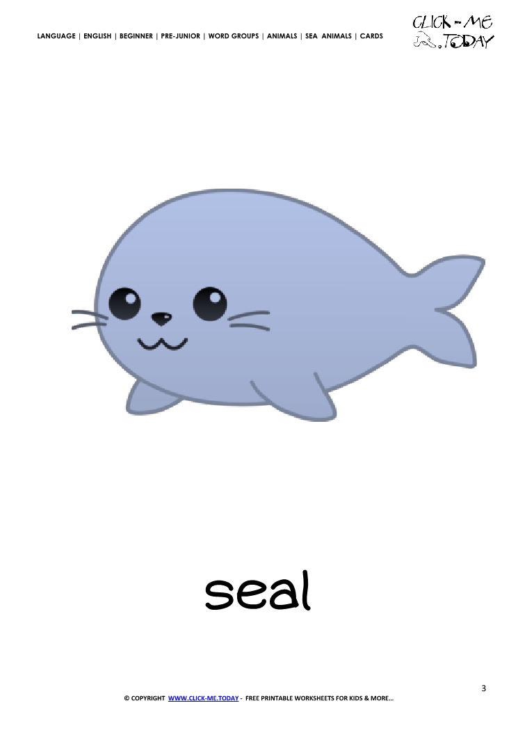 Sea animal flashcard Seal - Printable card of Seal