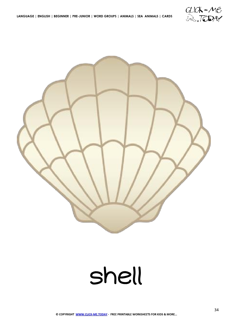 sea-animal-flashcard-shell-printable-card-of-shell