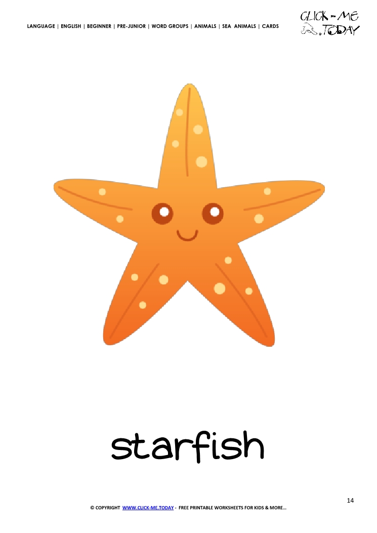 Sea animal flashcard Starfish - Printable card of Starfish