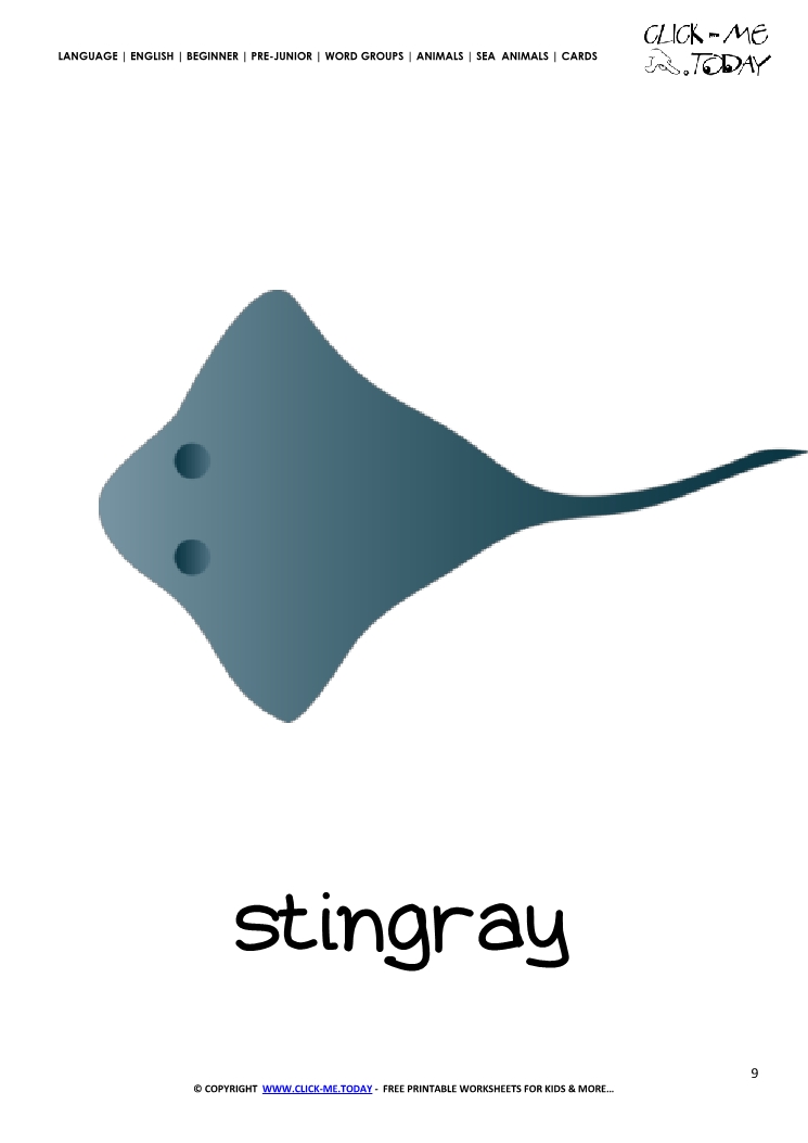 Sea animal flashcard Stingray - Printable card of Stingray