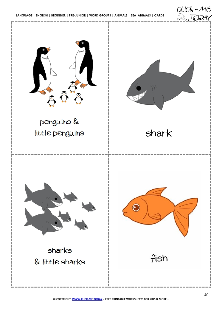 Free printable Sea animals Classroom cards - Sharks & Fish
