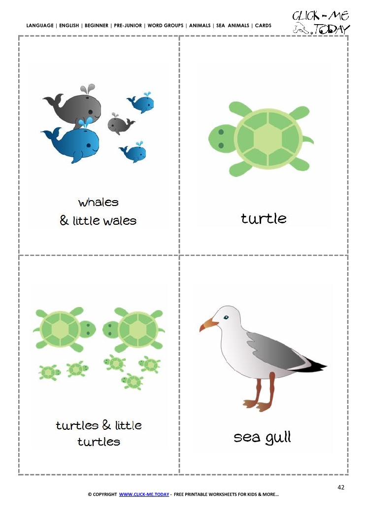 Free printable Sea animals pictures - Turtles & Sea gulls
