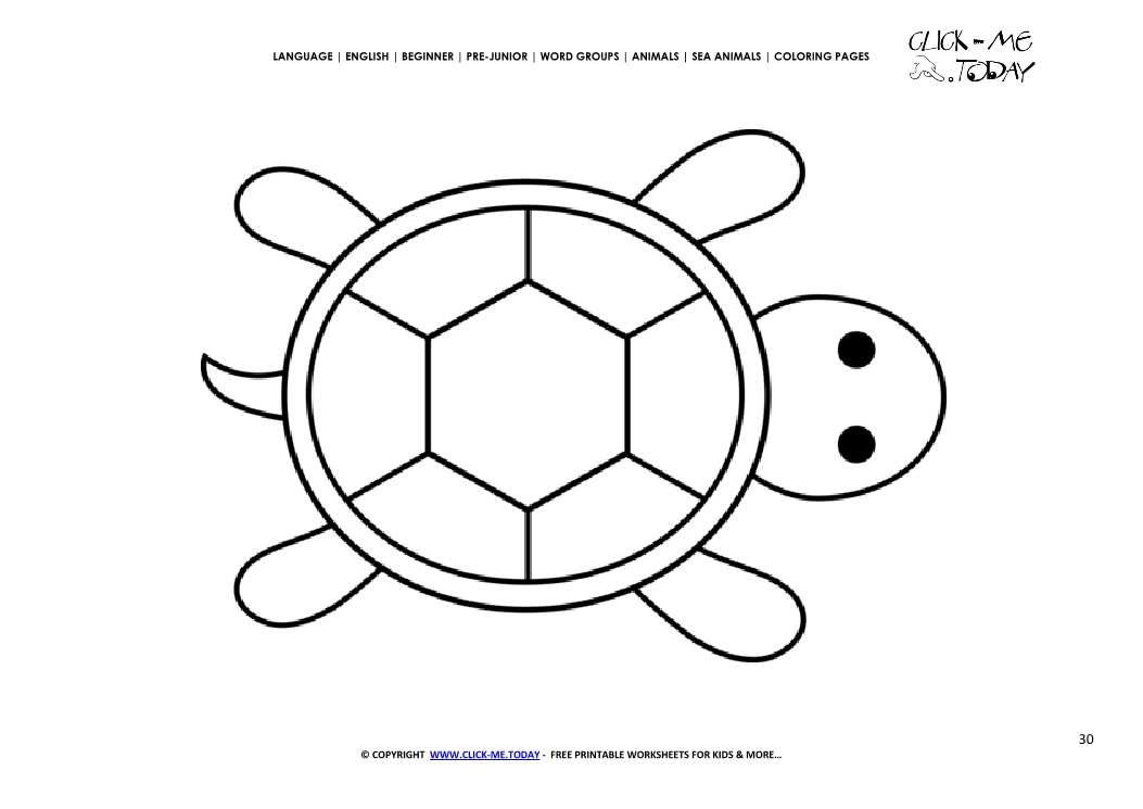 Coloring page Turtle - Color picture of Turtle