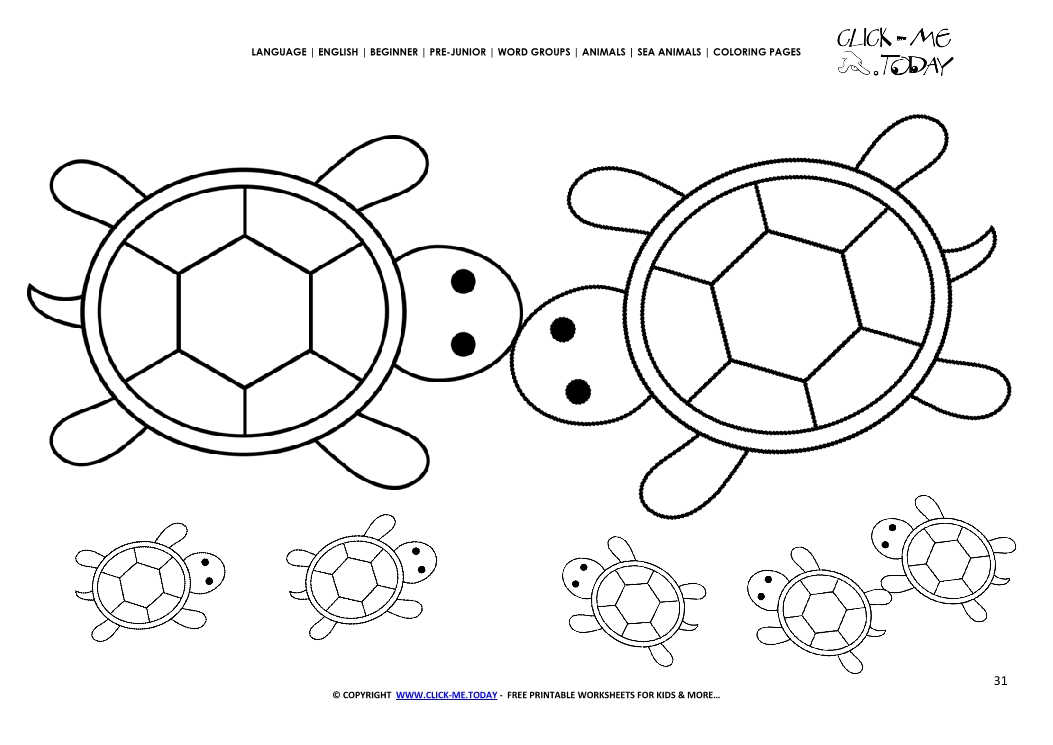Coloring page Turtles - Color picture of Turtles