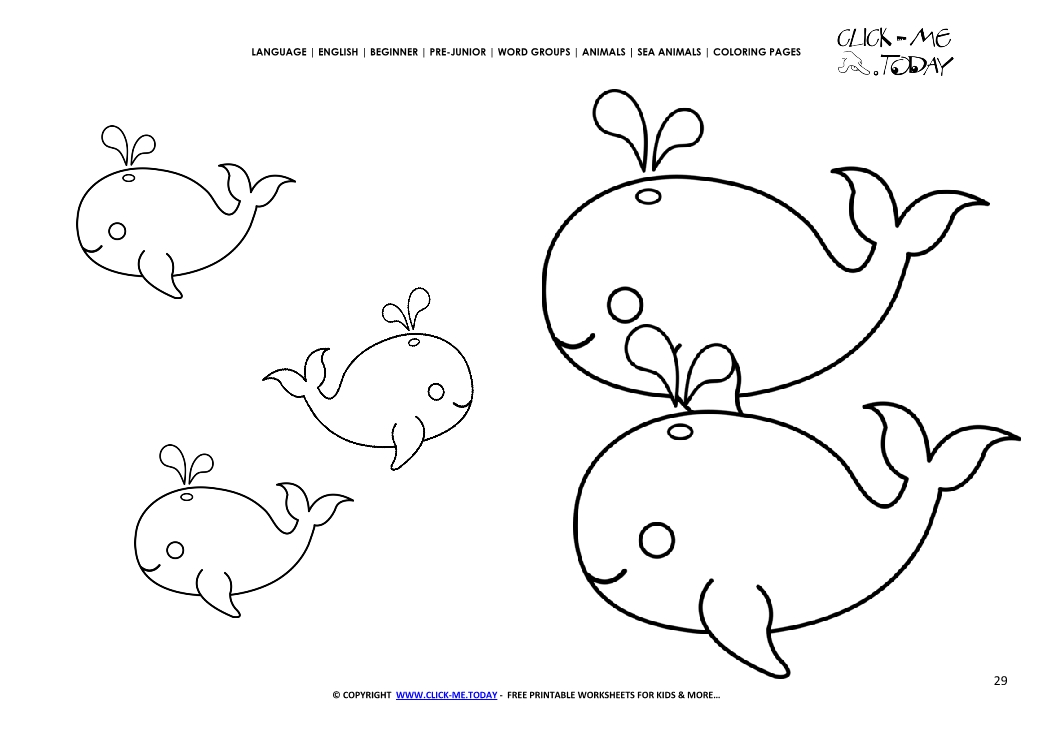 Coloring page Whales - Color picture of Whales