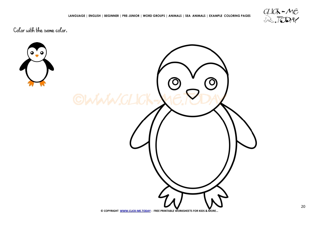 Example coloring page Little Penguin - Color picture of Penguin