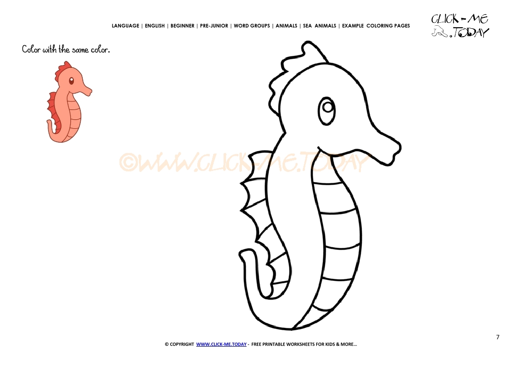 Example coloring page Little Sea horse- Color picture of Sea horse