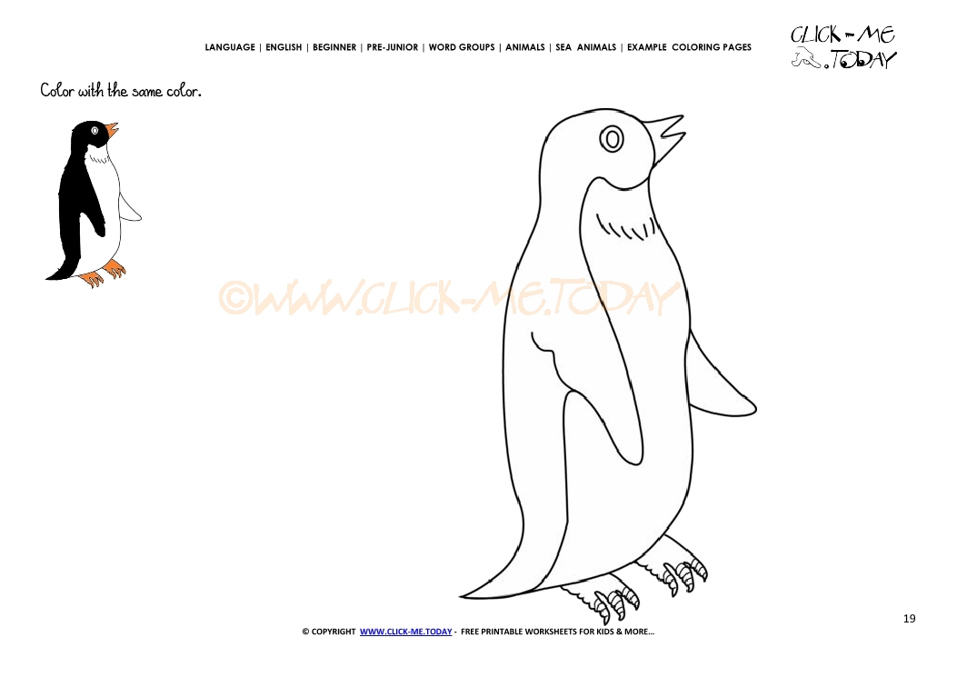 Example coloring page Penguin - Color picture of Penguin