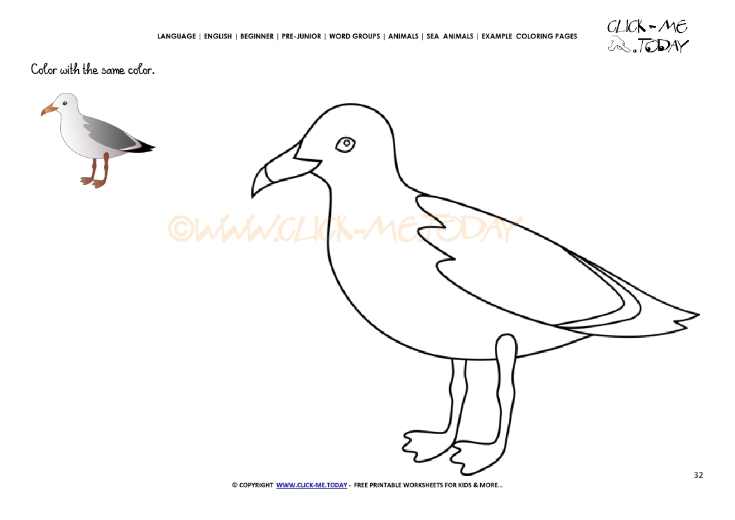 Example coloring page Sea gull- Color picture of Sea gull