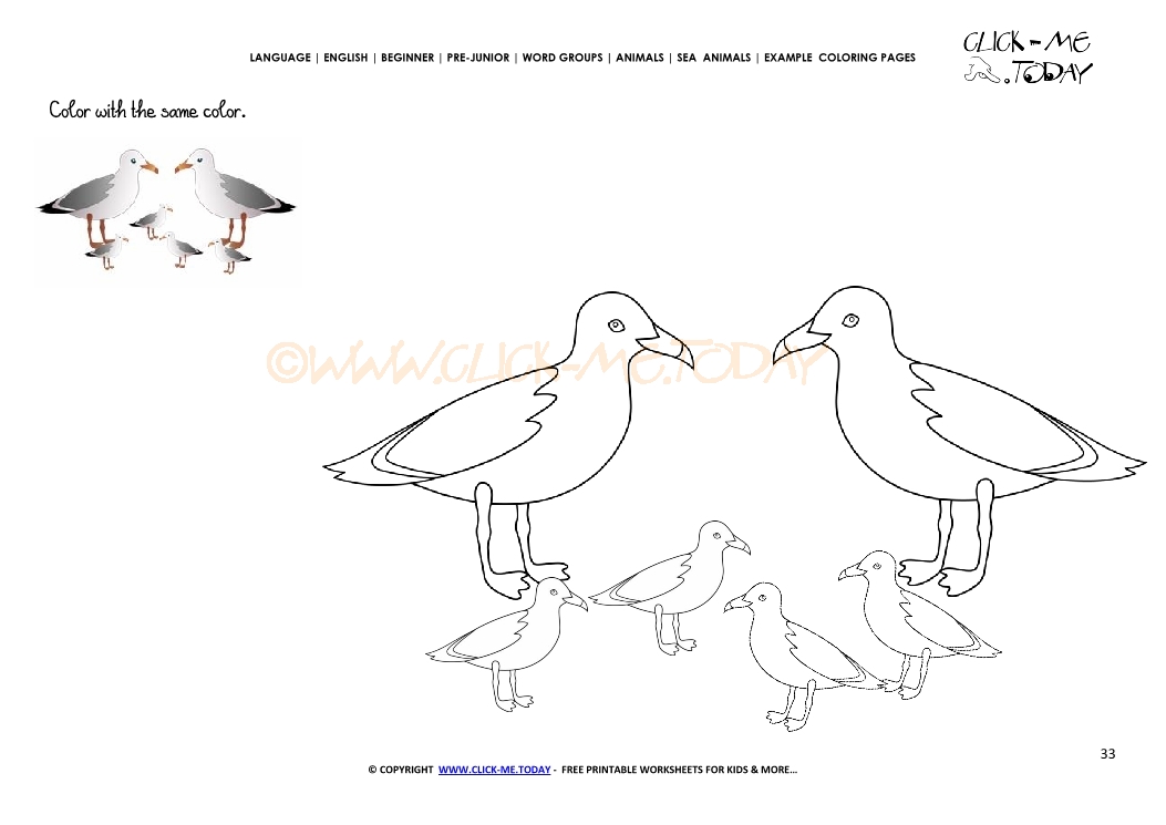 Example coloring page Sea gulls - Color picture of Sea gulls