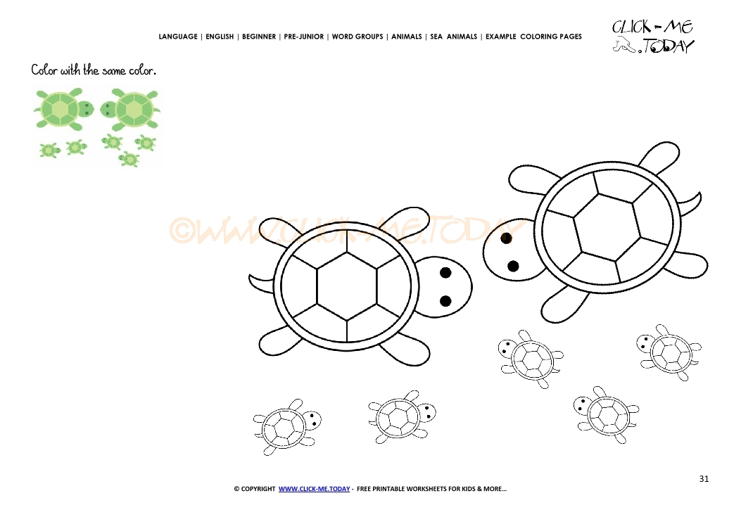 Example coloring page Turtles - Color picture of Turtles