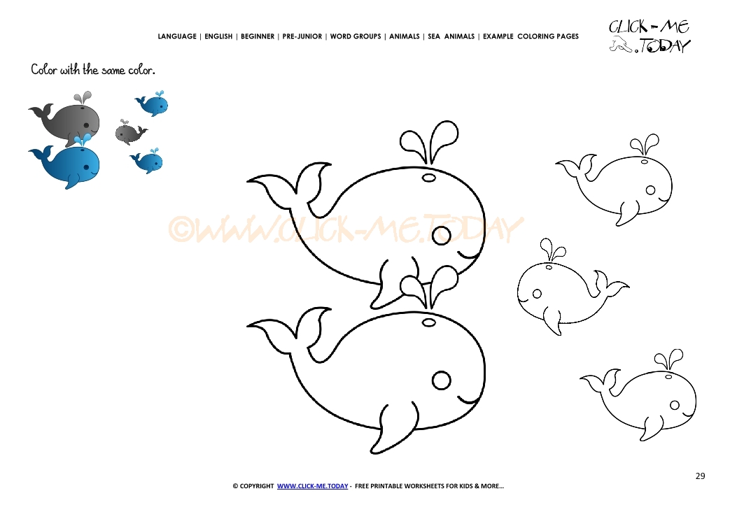 Example coloring page Whales - Color picture of Whales