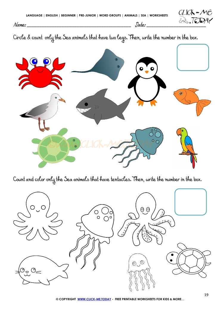 sea-animals-worksheet-activity-sheet-count-19