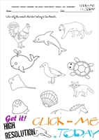 Sea Animals Worksheet - Activity sheet Color 5