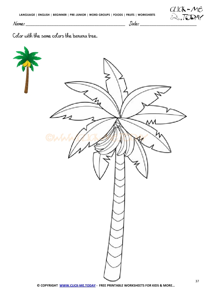 Fruits Worksheet 37 - Color with the same colors the banana tree
