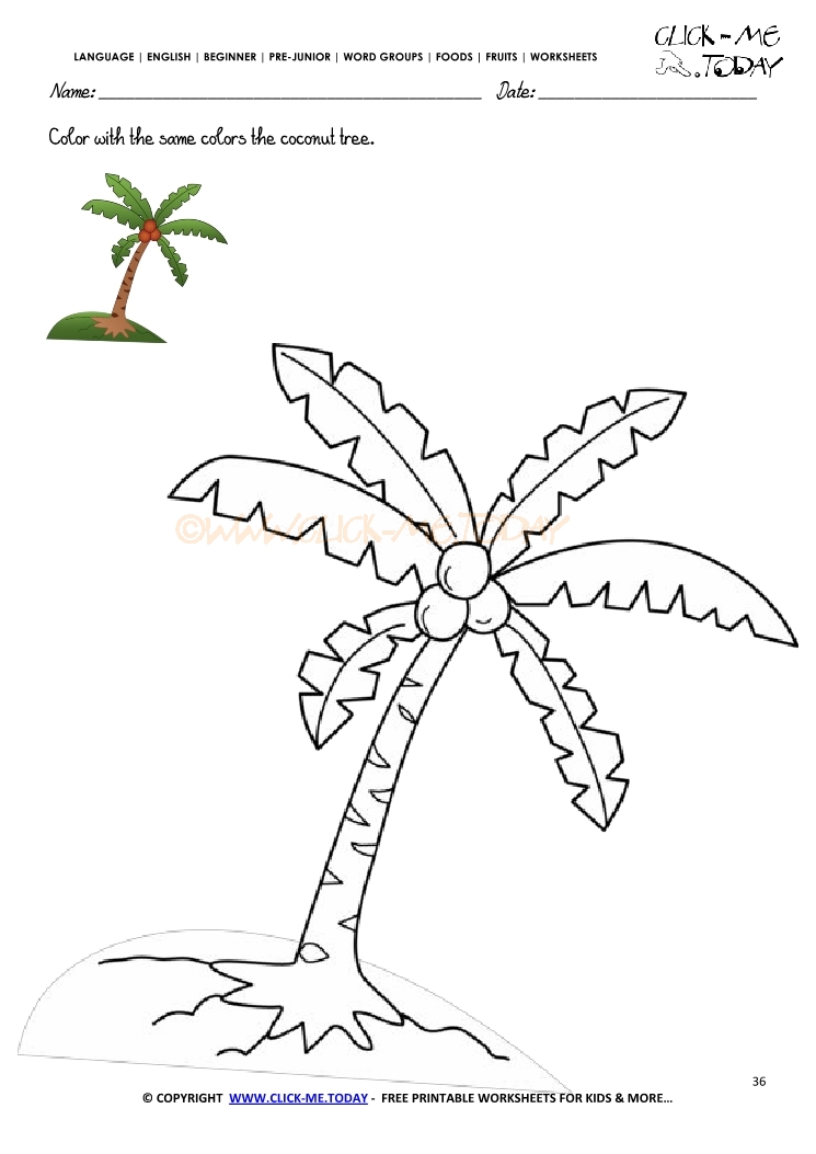 Fruits Worksheet 36 - Color with the same colors the coconut tree