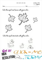 Free printable Equal size Activity sheets & Worksheets 8 - Color